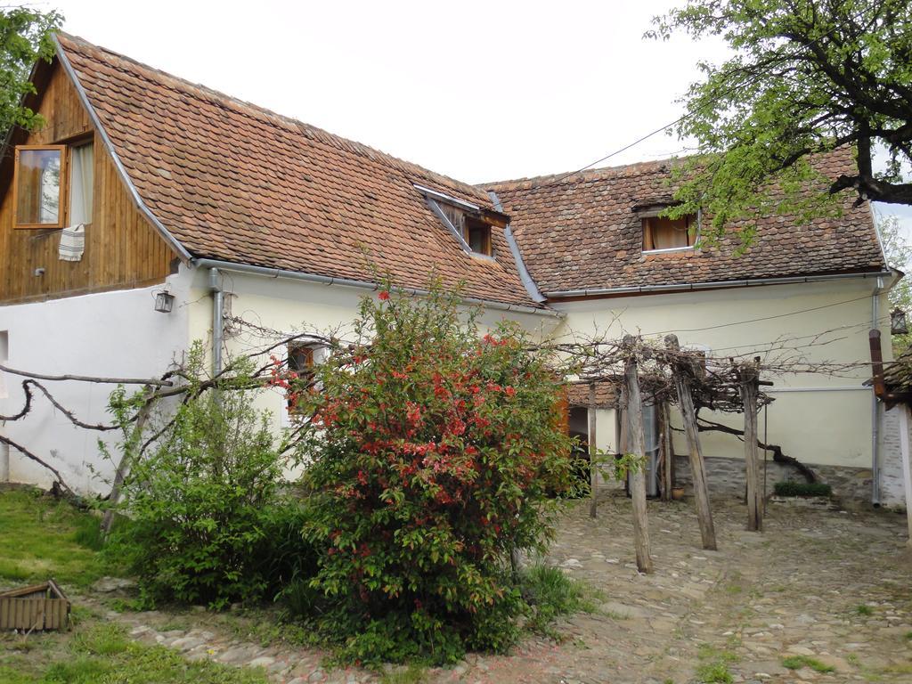 Dominic Boutique - Casa Mare Konuk evi Cloasterf Dış mekan fotoğraf