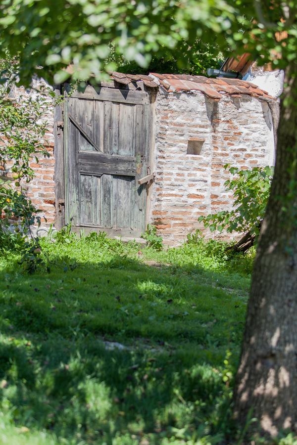 Dominic Boutique - Casa Mare Konuk evi Cloasterf Dış mekan fotoğraf